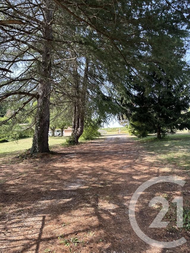 maison à vendre - 7 pièces - 194.0 m2 - BRANNE - 33 - AQUITAINE - Century 21 Nci Immobilier