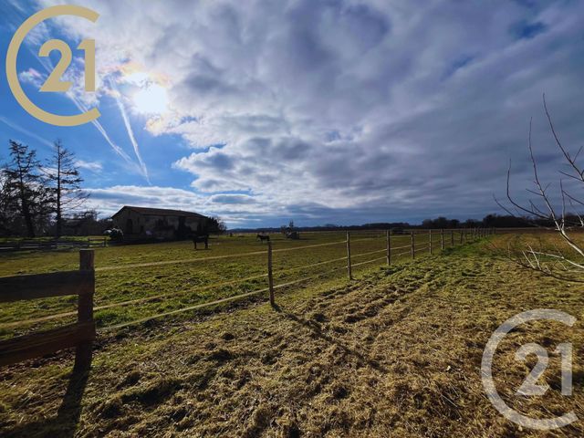 maison à vendre - 5 pièces - 145.0 m2 - MOULON - 33 - AQUITAINE - Century 21 Nci Immobilier