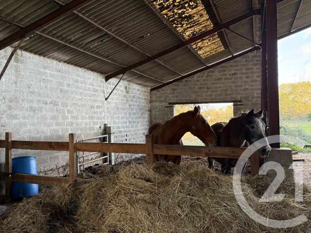 maison à vendre - 3 pièces - 102.0 m2 - CAMARSAC - 33 - AQUITAINE - Century 21 Nci Immobilier