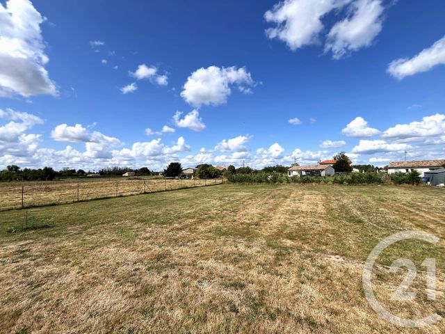 maison à vendre - 4 pièces - 90.0 m2 - ST PEY DE CASTETS - 33 - AQUITAINE - Century 21 Nci Immobilier